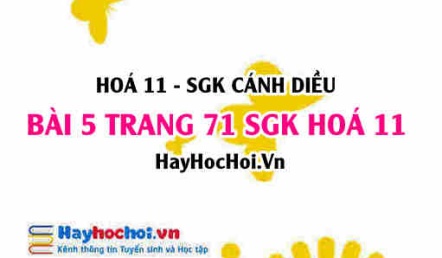 Bài 5 trang 71 SGK Hoá 11 Cánh diều